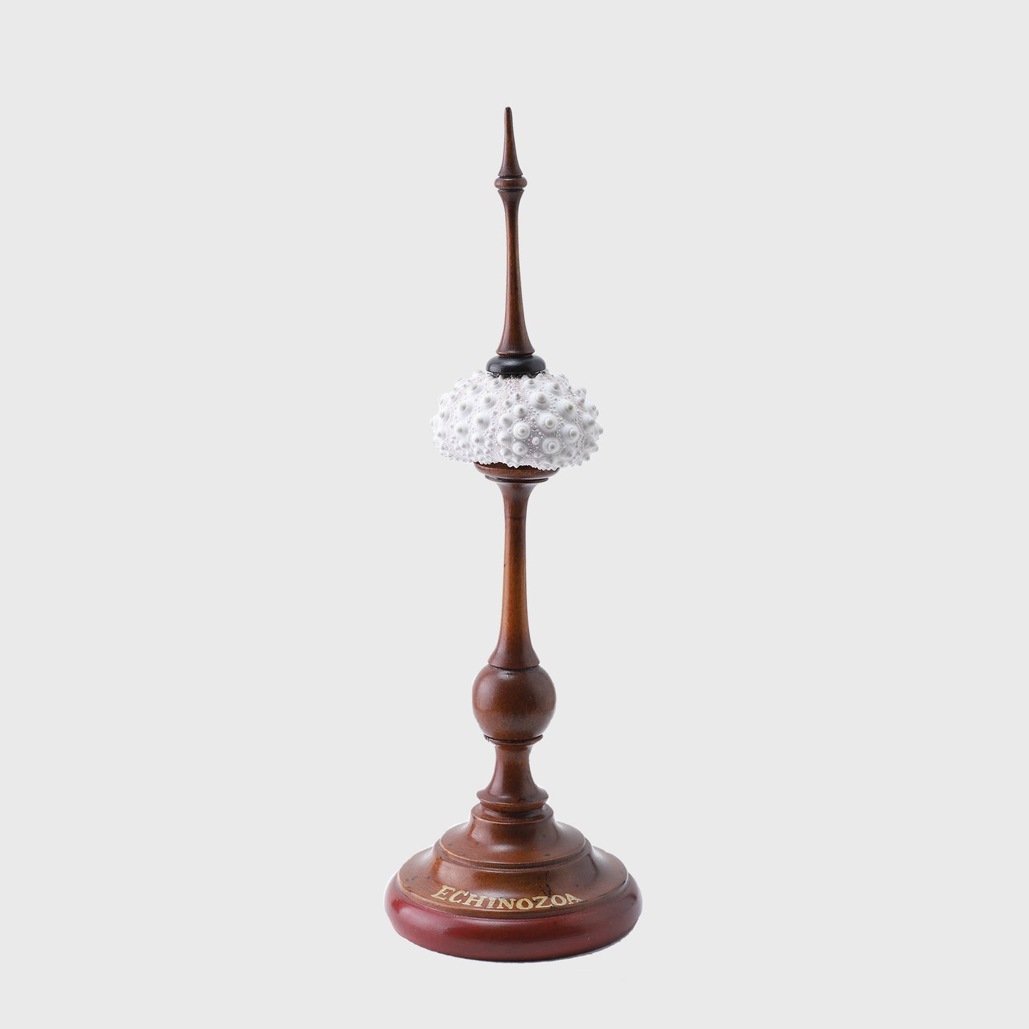 SEA URCHIN STAND SMALL