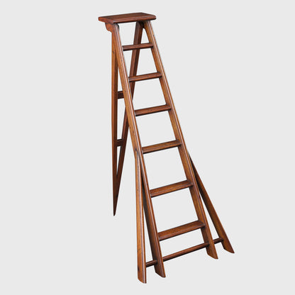 ORCHARD LADDER